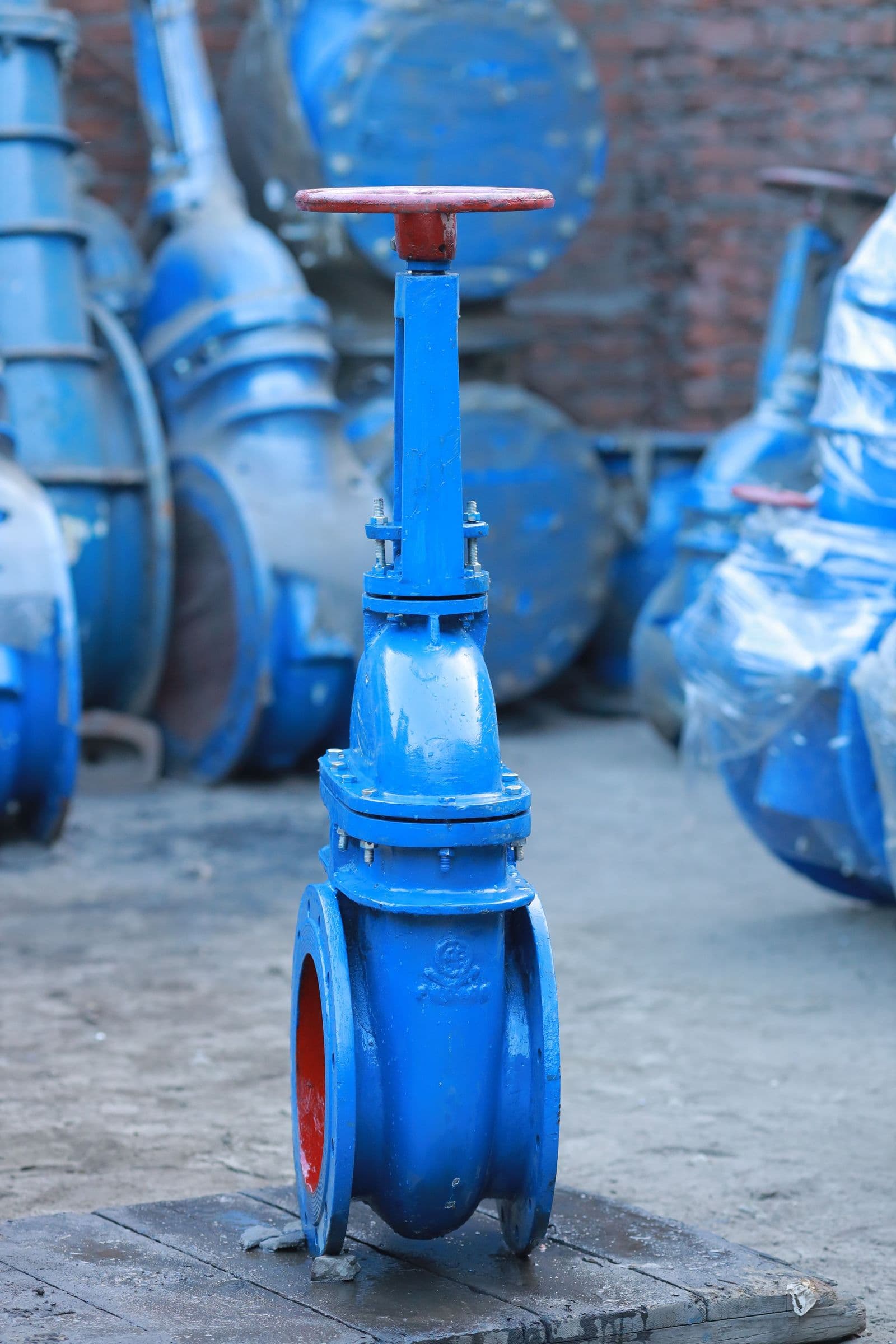 A flanged gate valve on a bench with more valves behind it