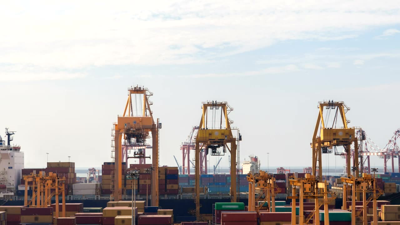 Container cranes over a working dock under a pale sky